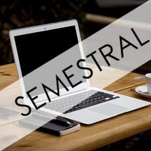 Mantenimiento cuota Semestral