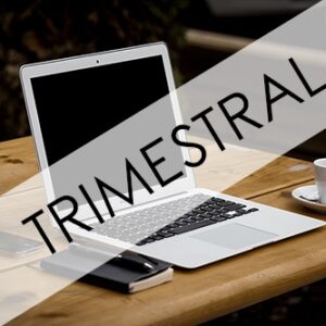 Mantenimiento Cuota trimestral